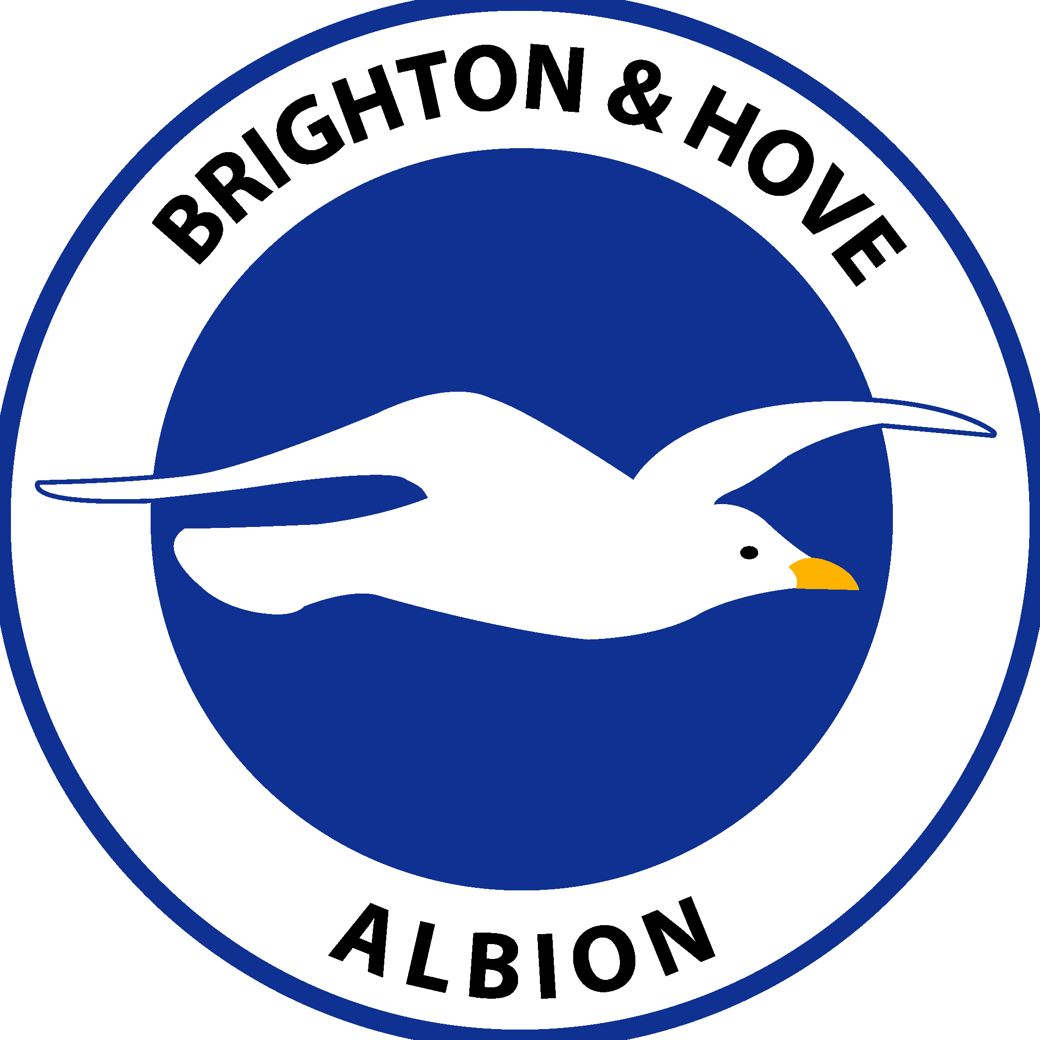 Brighton Hove Albion F.C Logo